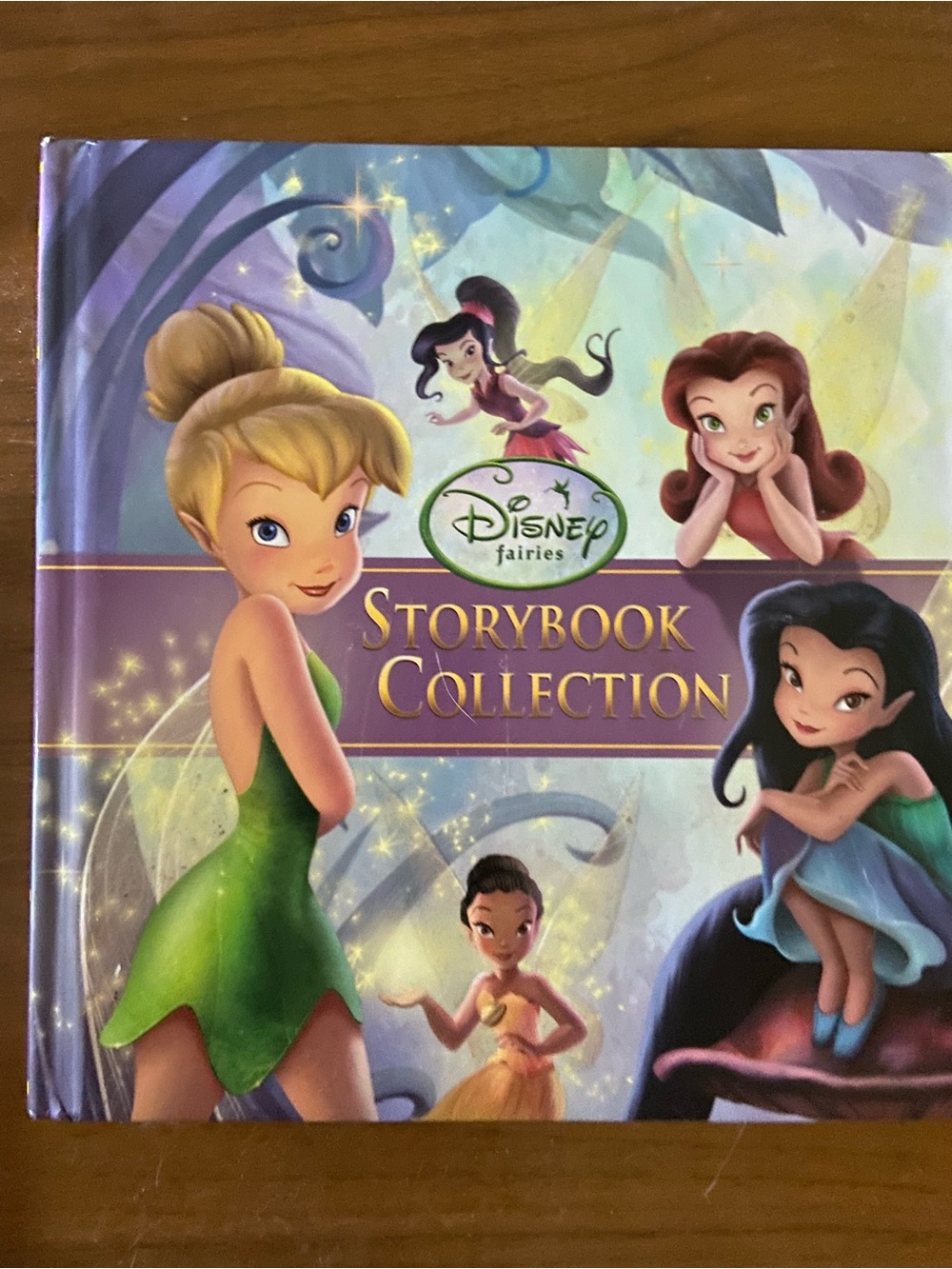 Disney Fairies Fairy Tale Storybook book Collection Tinker Bell Green Purple hc